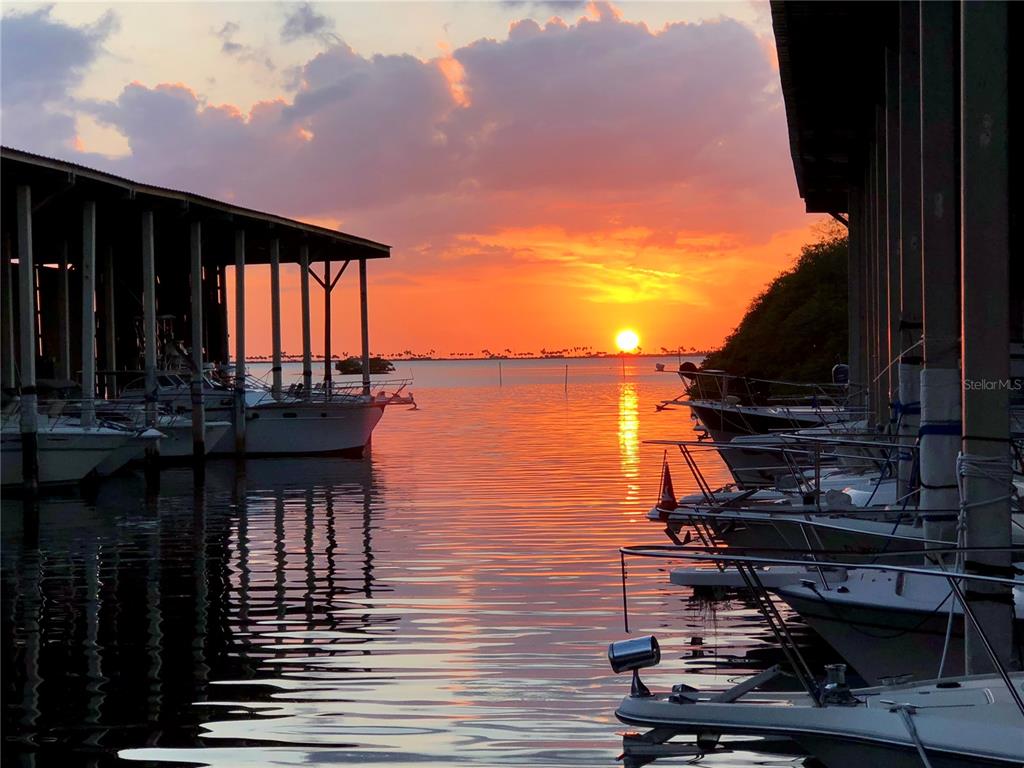 1001 Lennox Road West Palm Harbor, FL 34683 - Photo 27 of 27 a lake view with boat and palm trees