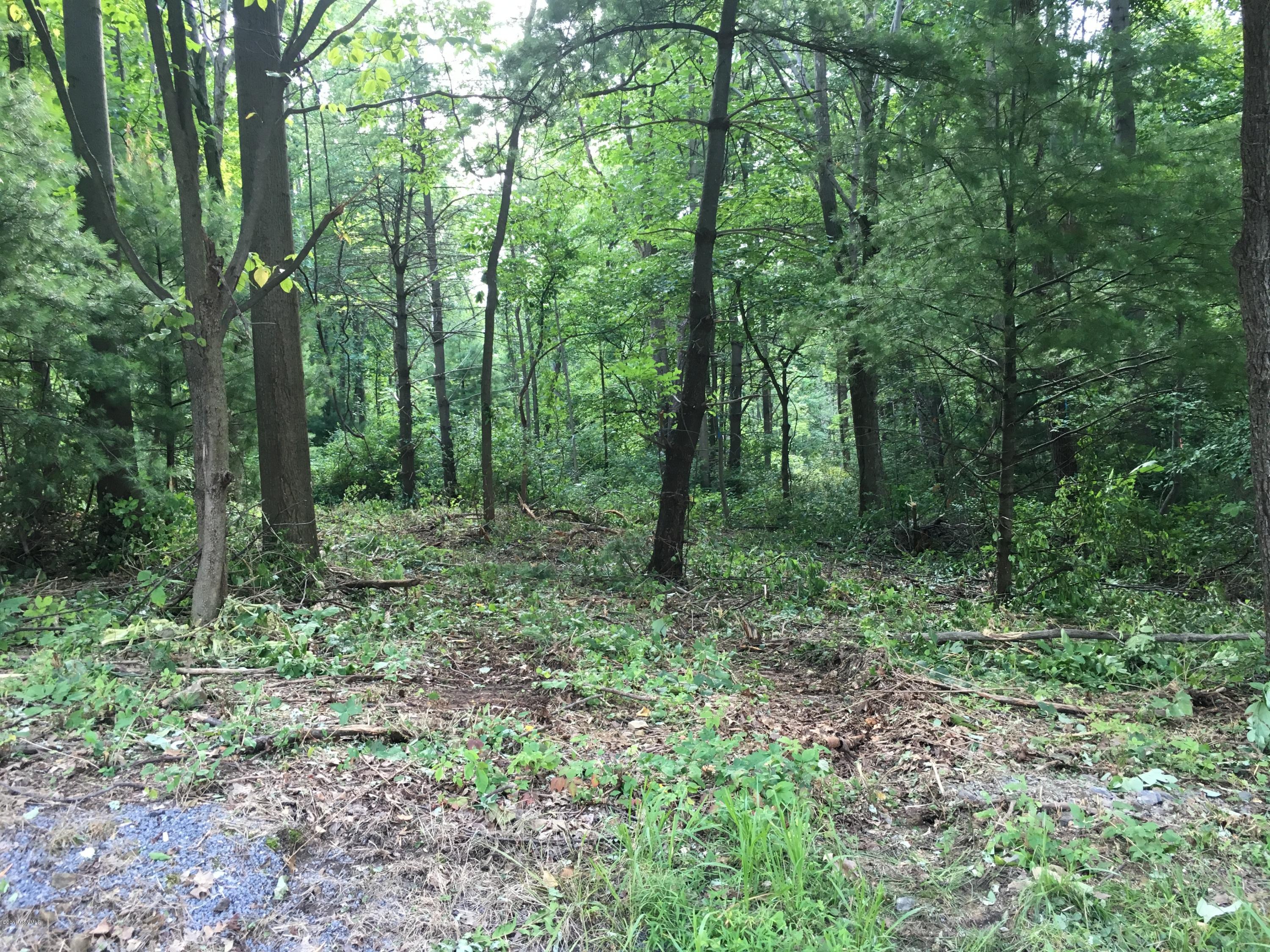 Lot No Lot Road Danville, PA 17821 - Photo 1 of 4 Gallery Image 1
