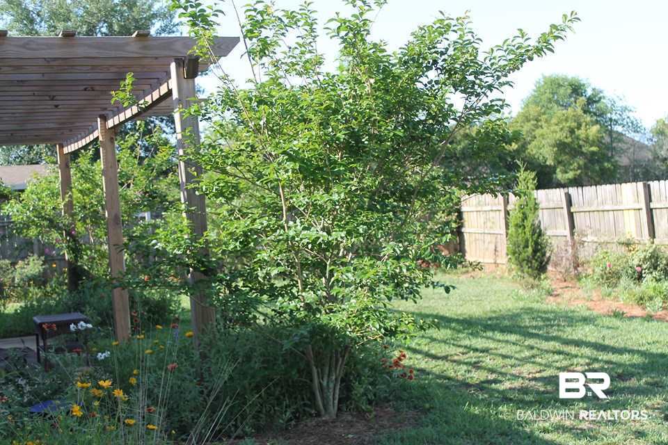 25459 Spindle Lane Daphne, AL 36526 - Photo 35 of 36