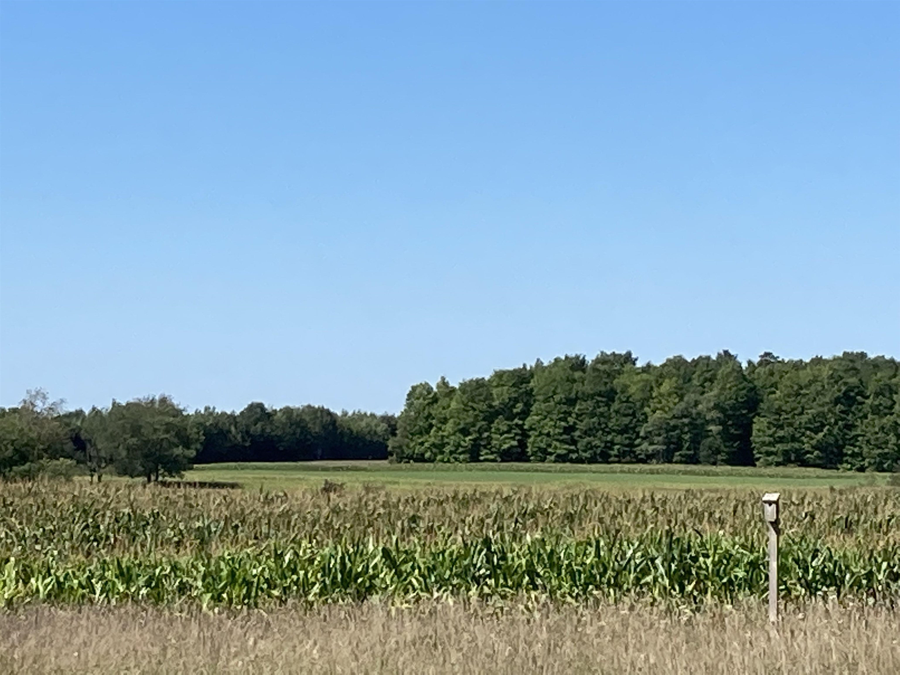Vl East Vl E Sparling Road Kingsley, MI 49649 - Photo 9 of 12