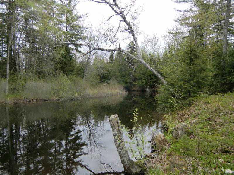 246 Plummer Road Palermo, ME 04354 - Photo 3 of 9 Waterfront/Dock/Pier.