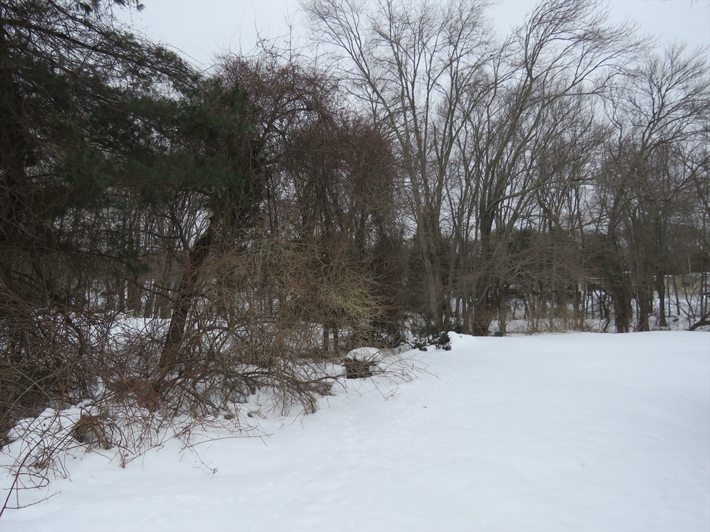 49 Eastbridge Road Taunton, MA 02780 - Photo 13 of 13