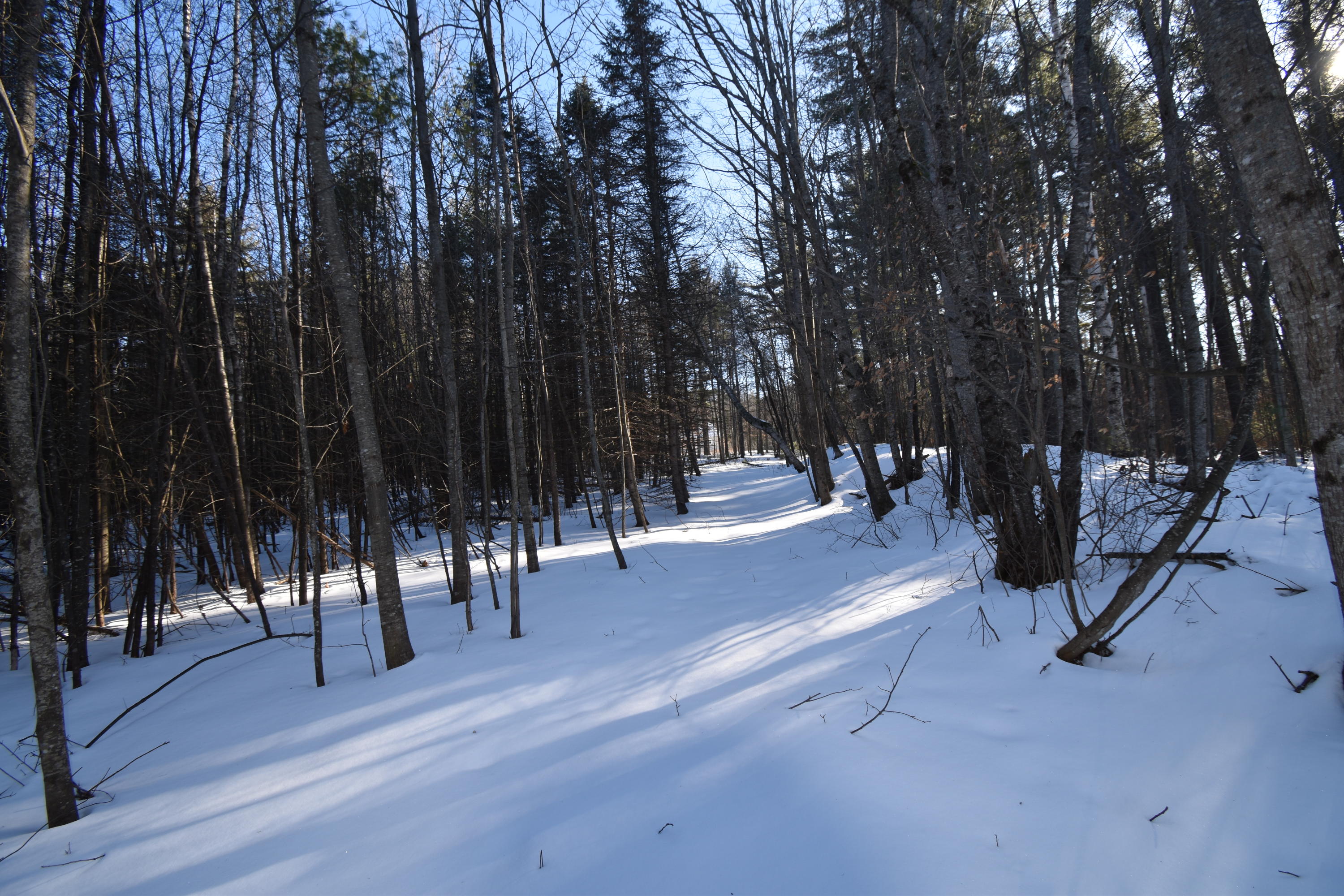 360 Watson Heights Road Kents Hill, ME 04349 - Photo 70 of 77 DSC_0357
