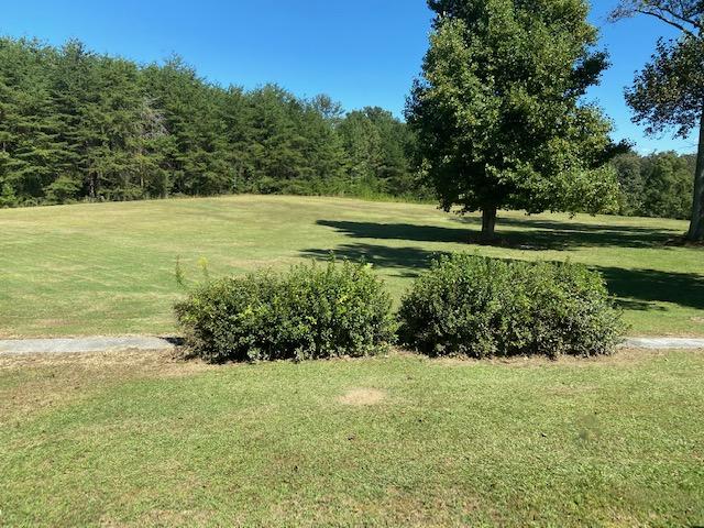 2440 South Long Hollow Road Trion, GA 30753 - Photo 21 of 37 IMG_1807