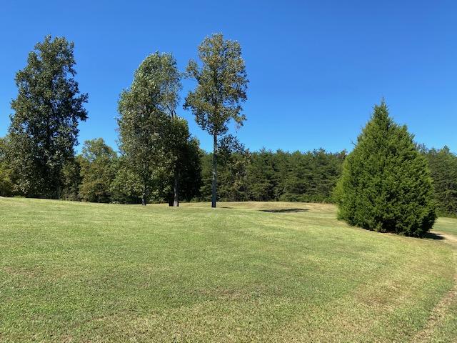 2440 South Long Hollow Road Trion, GA 30753 - Photo 23 of 37 IMG_1811