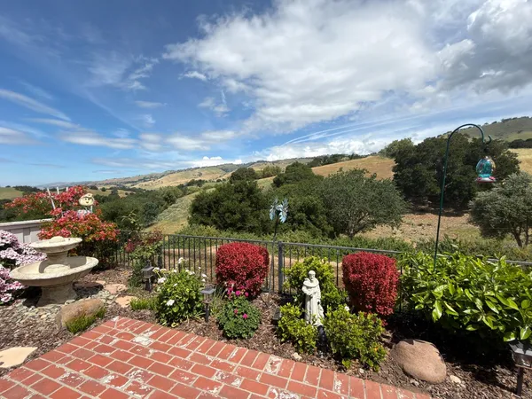 a view of a garden with flowers