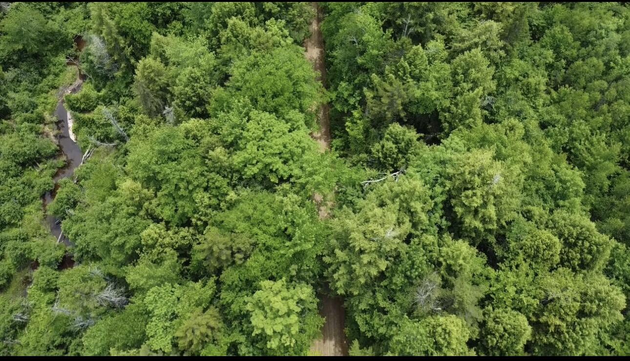 Lot 14 Hanslip Road Wilton, ME 04294 - Photo 7 of 11
