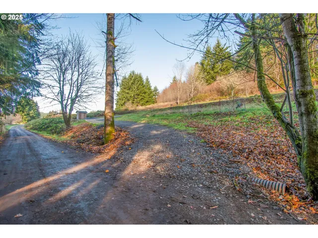 a view of a yard with a tree
