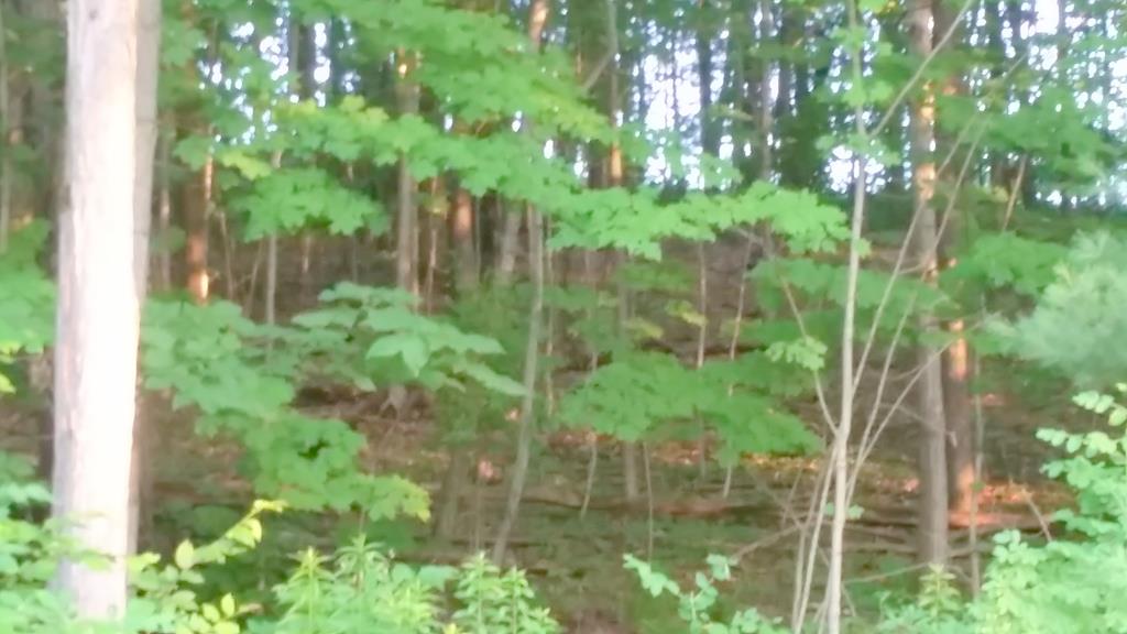 Lot 5 Johnson Road Horseheads, NY 14845 - Photo 1 of 1