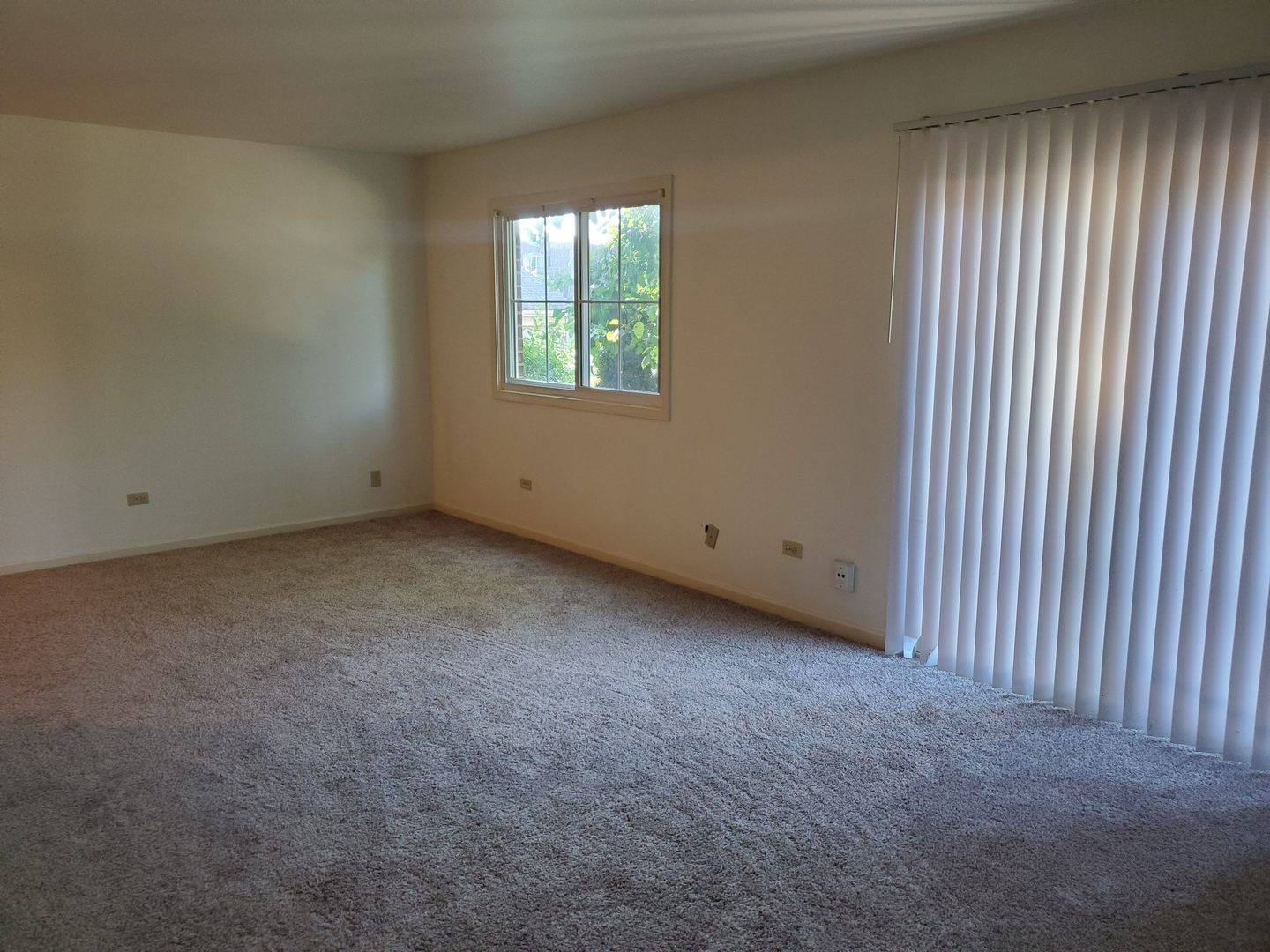 833 Village Quarter Road, Unit G4 West Dundee, IL 60118 - Photo 3 of 15 an empty room with windows