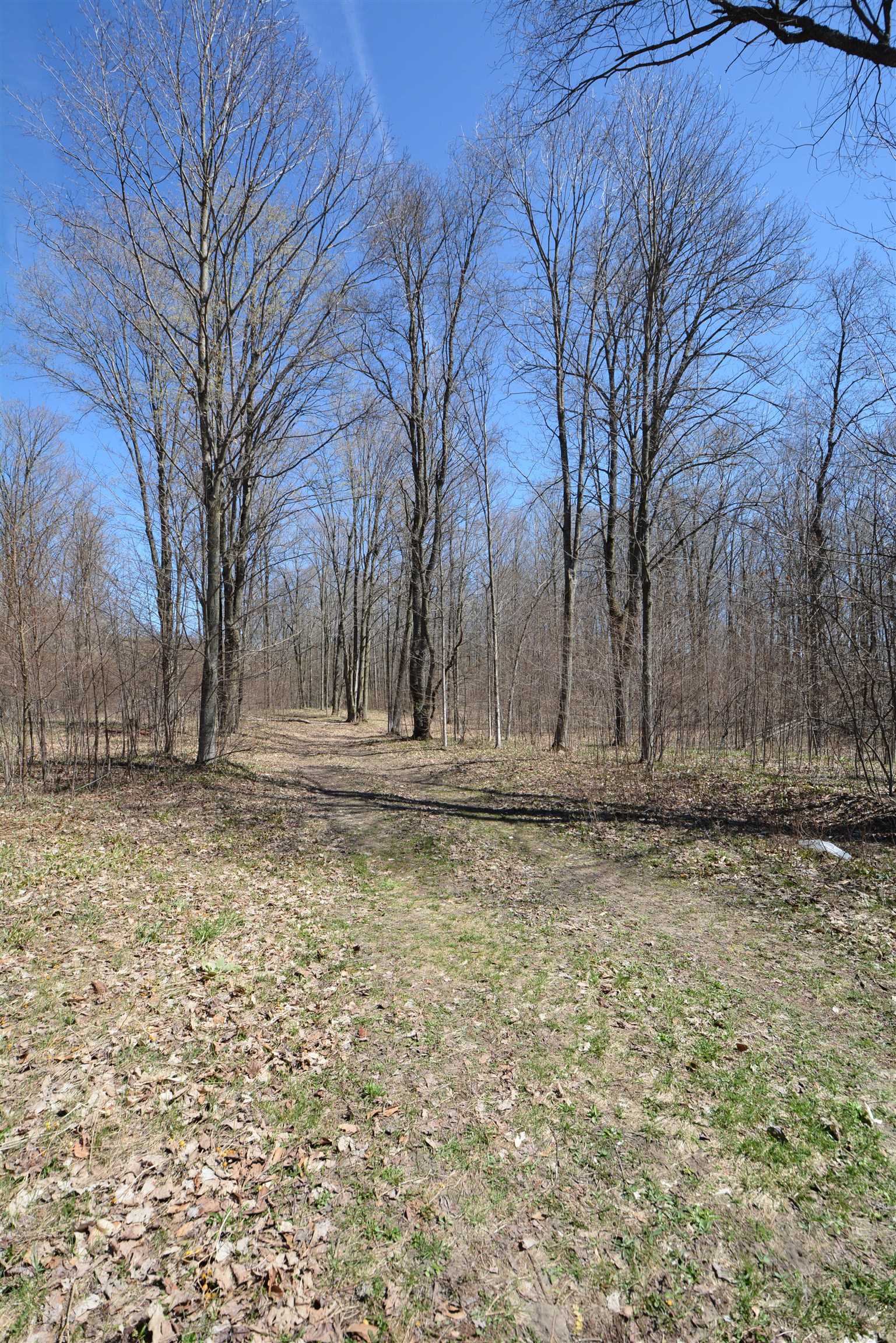 11100 Fewins Road Honor, MI 49640 - Photo 32 of 34
