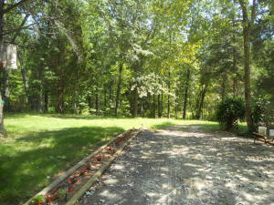 1479 Meadows Church Road Heltonville, IN 47436 - Photo 14 of 29 Gallery Image 14
