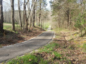 1479 Meadows Church Road Heltonville, IN 47436 - Photo 27 of 29 Gallery Image 27