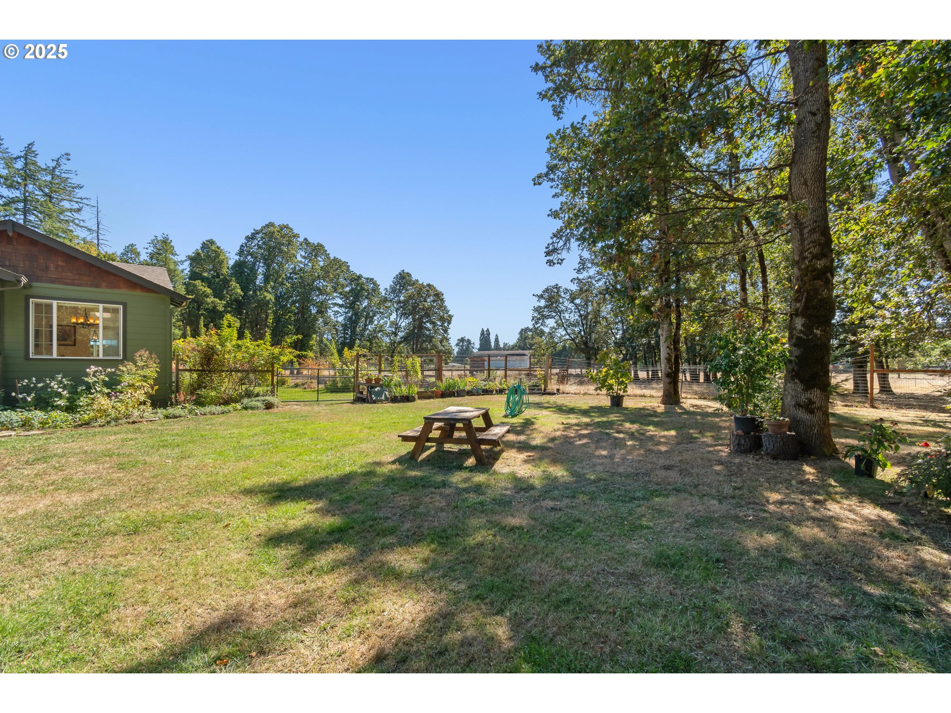 78691 Sears Road Cottage Grove, OR 97424 - Photo 31 of 48 a view of a park with large trees