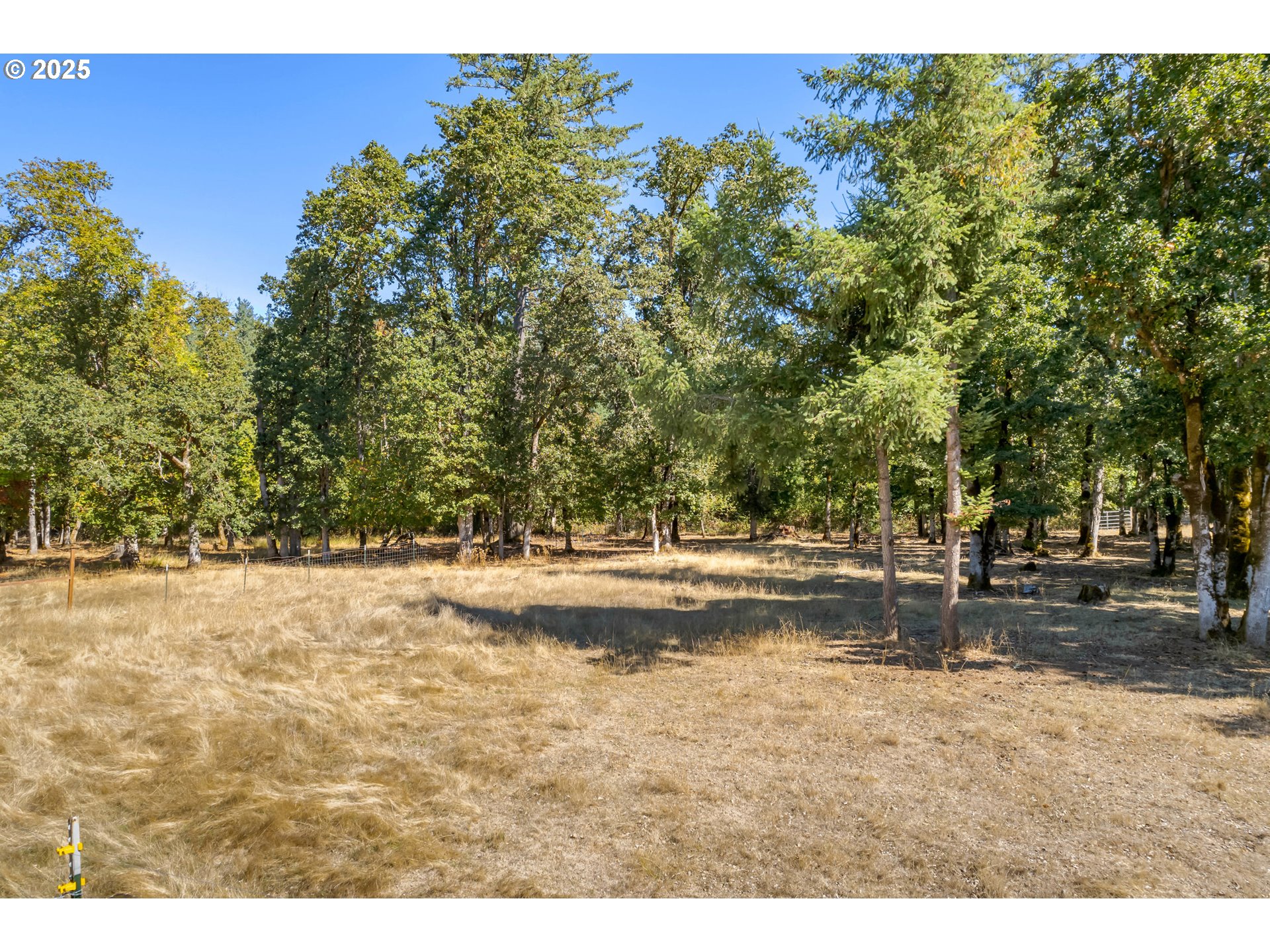 78691 Sears Road Cottage Grove, OR 97424 - Photo 41 of 48 a view of a yard with a tree