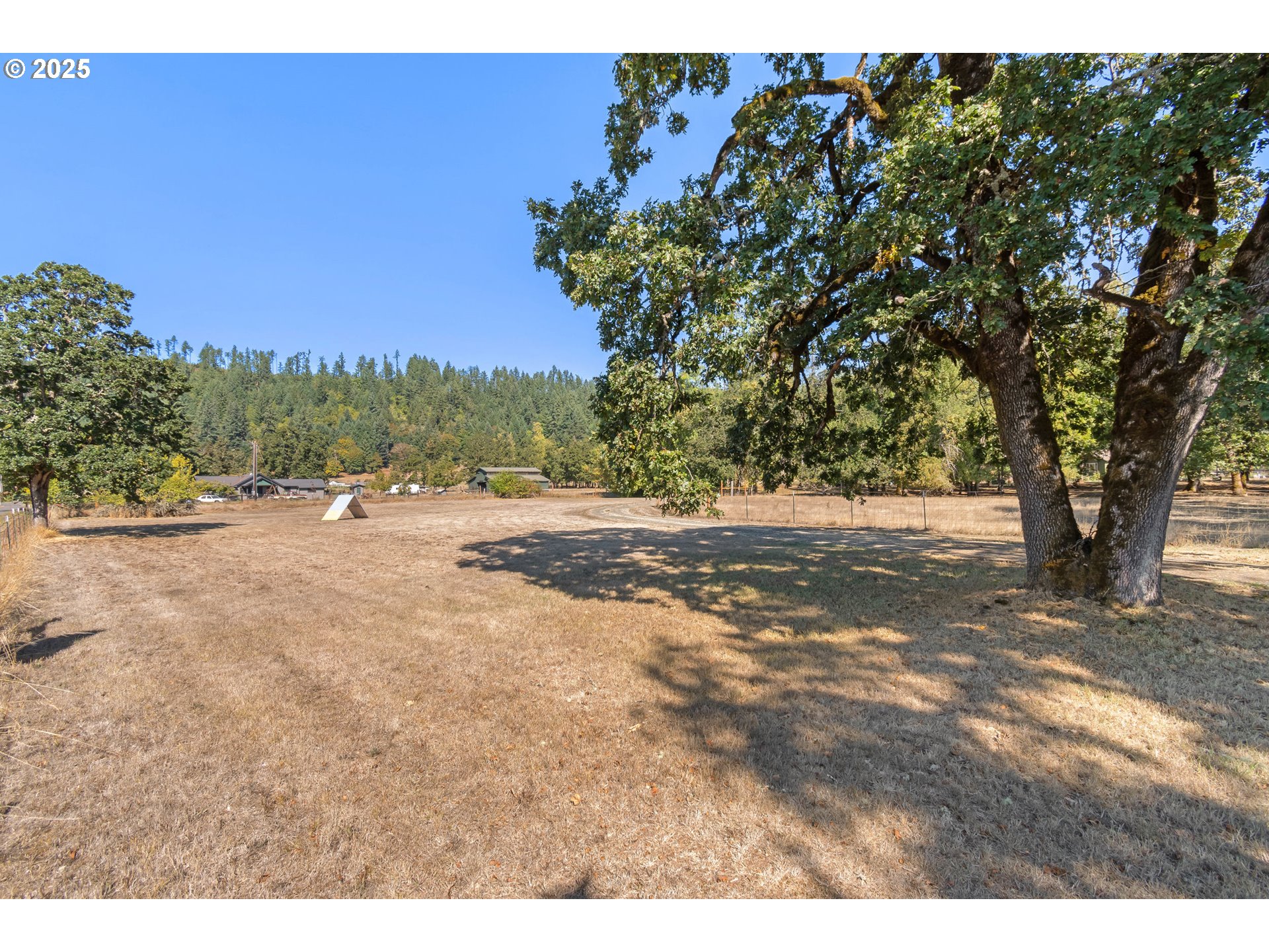 78691 Sears Road Cottage Grove, OR 97424 - Photo 44 of 48 a view of dirt field with trees