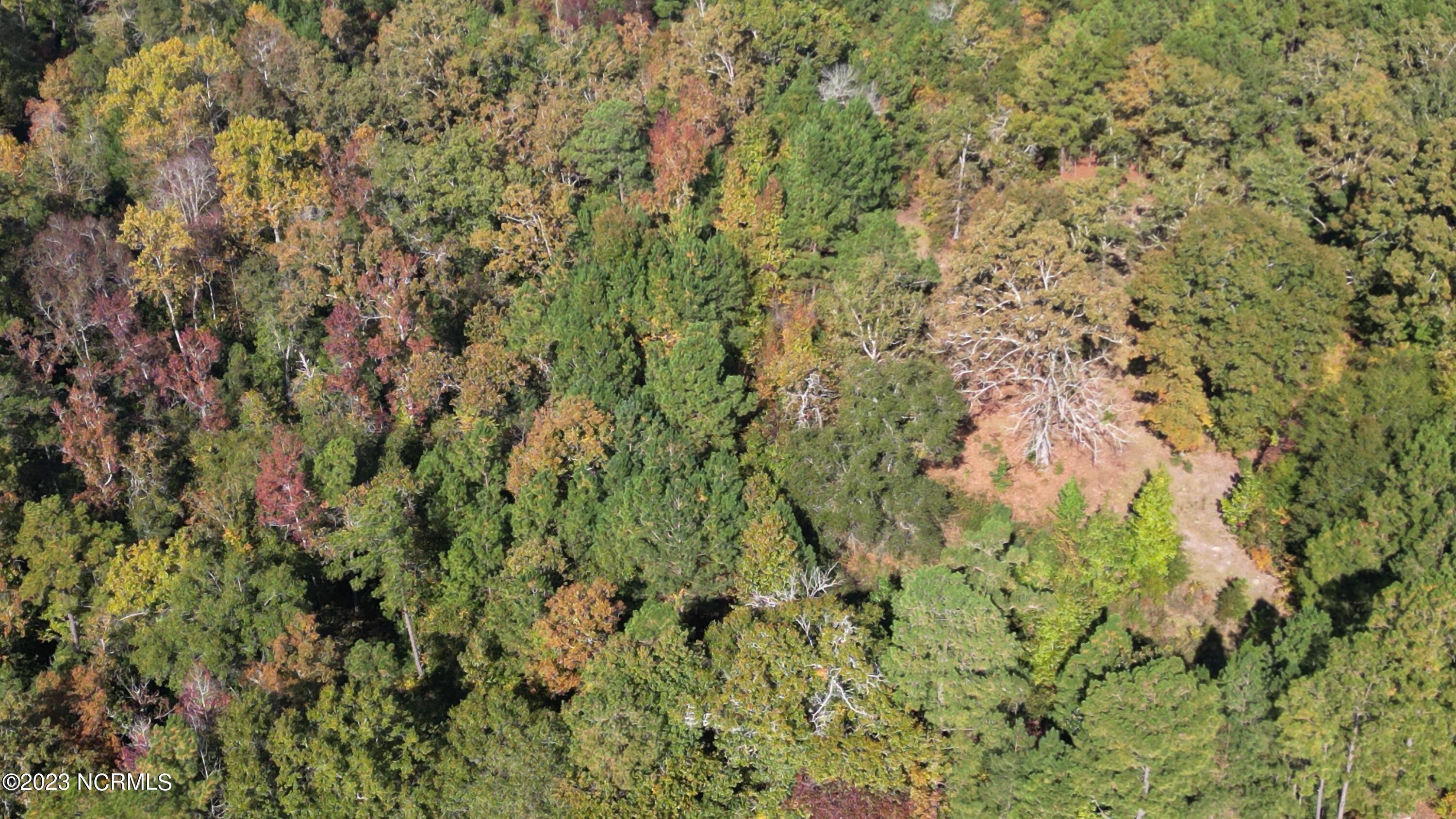 18.33-acre McPherson Road Vass, NC 28394 - Photo 37 of 39 DJI_0175