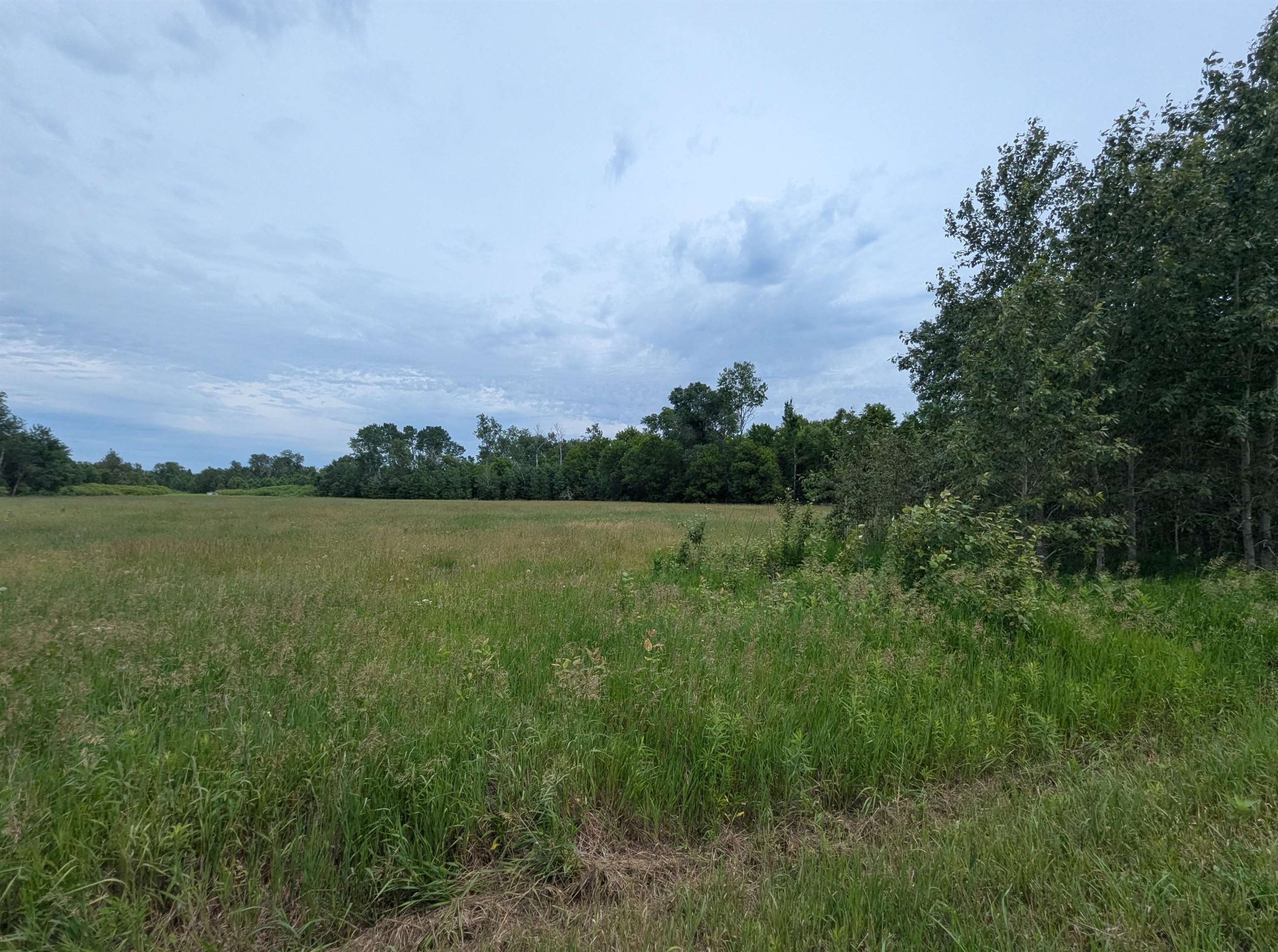 N/a Shenfield Road Turner, MI 48765 - Photo 4 of 15 1947337-9083c582-aa52-43a7-988f-67deba7696fc.JPG