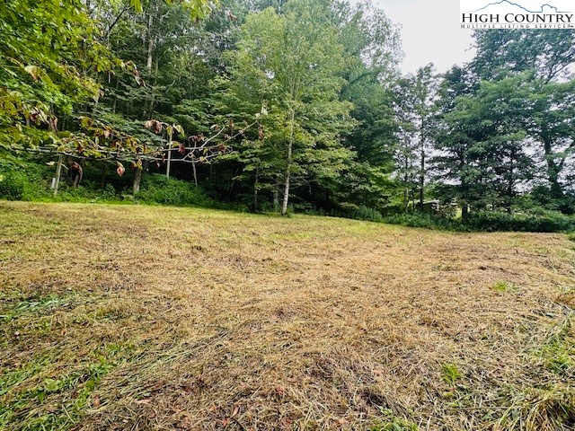 Joe Badger Road Warrensville, NC 28693 - Photo 11 of 22 Gallery Image 11