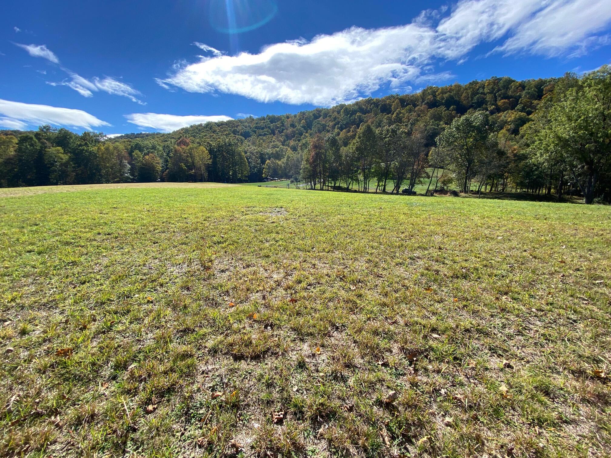 Lot 2 Spice Run Road Hillsboro, WV 24946 - Photo 14 of 68 Gallery Image 14