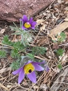 a picture of floor plan