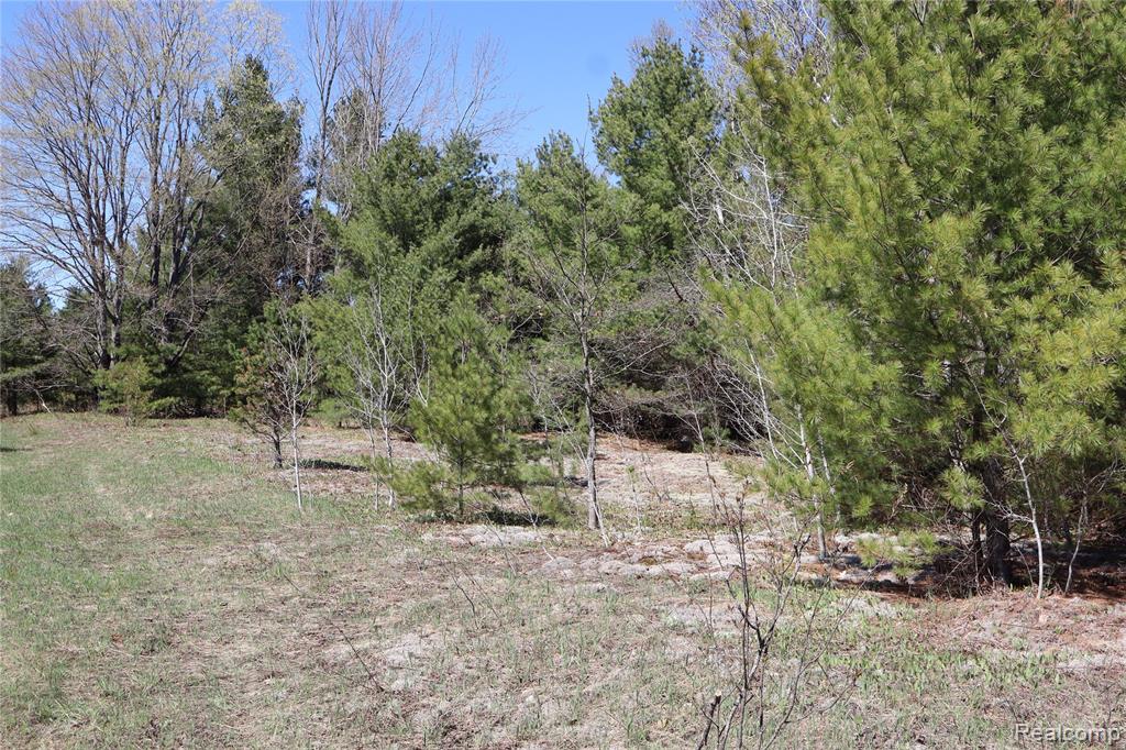 5575 East 26 Mile Road Pickford, MI 49774 - Photo 11 of 36