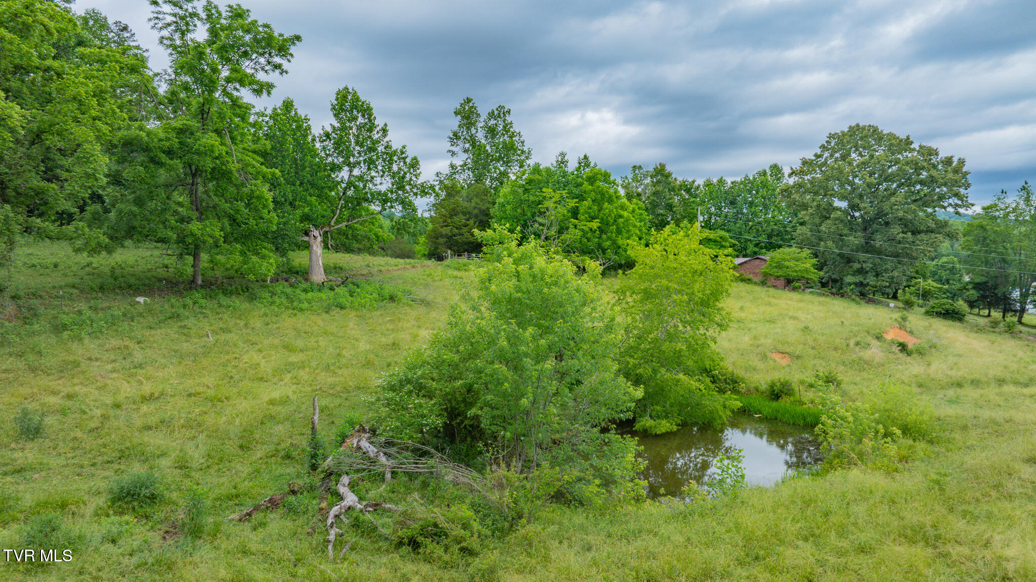 Tbd Garrison Hollow Road Elizabethton, TN 37643 - Photo 8 of 10 dji_fly_20260527_102838_0806_17798922847