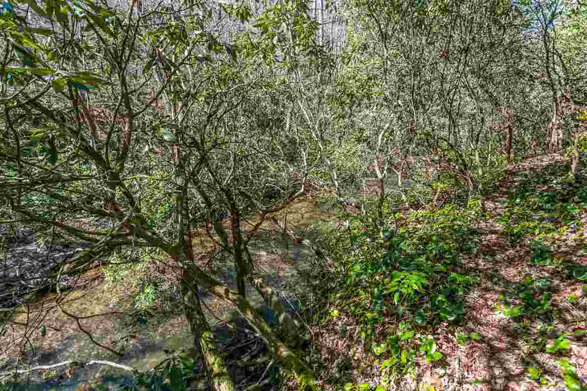 507 Brookside Acres Road Mountain Rest, SC 29664 - Photo 7 of 36 Gallery Image 7