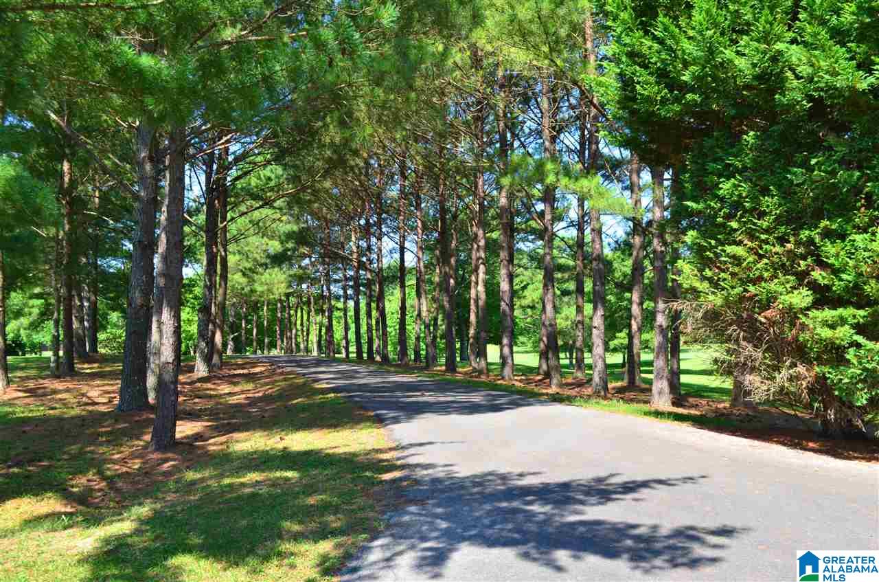 2930 Cahaba Valley Road Pelham, AL 35124 - Photo 4 of 50