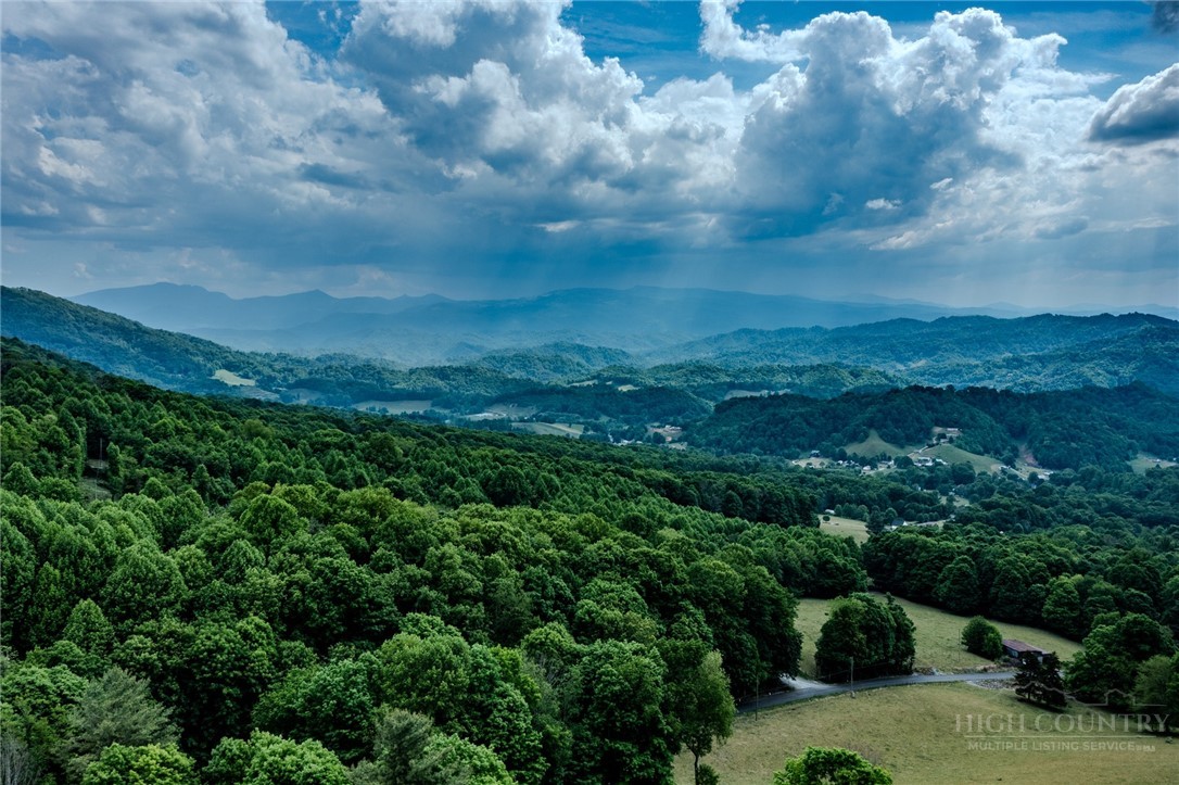 905 Harley Perry Road Zionville, NC 28698 - Photo 43 of 48