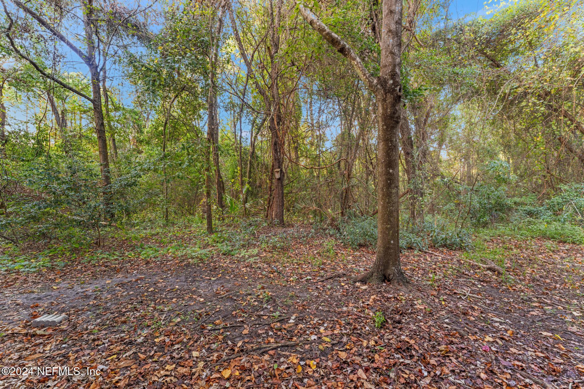 7947 Melvin Road Jacksonville, FL 32210 - Photo 17 of 22 Backyard