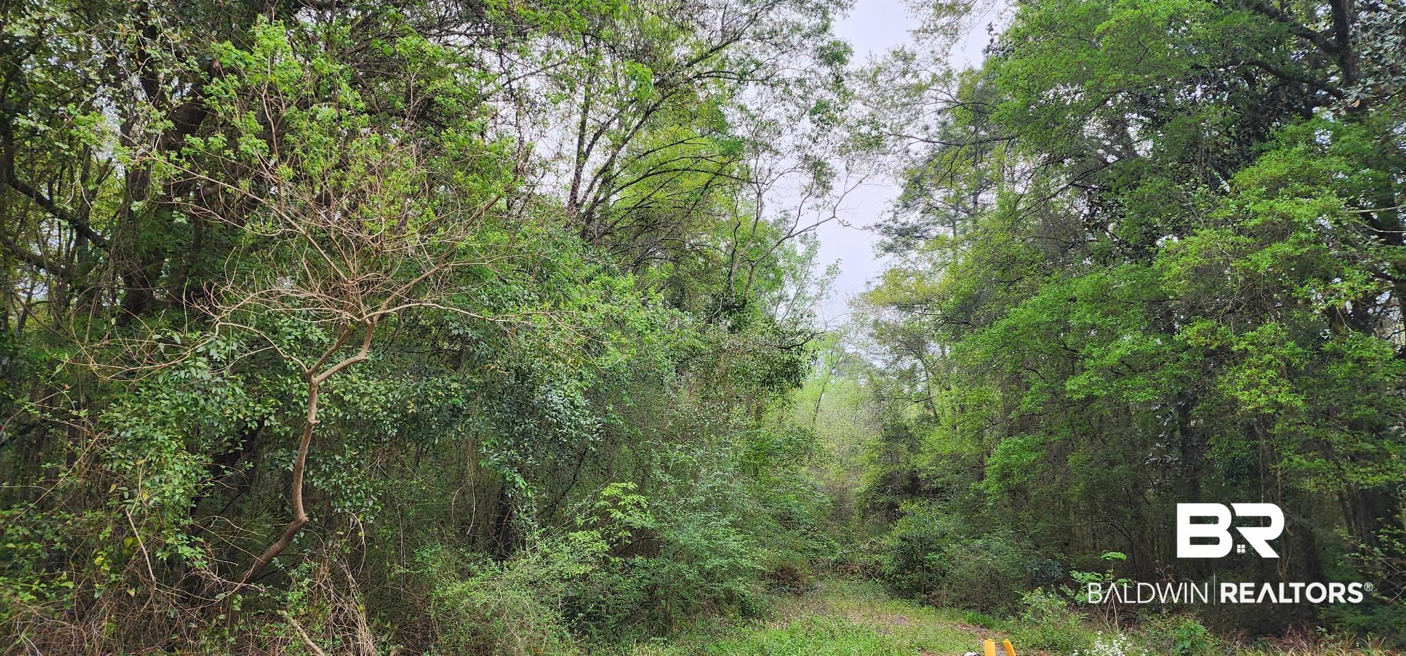 0 Mill House Drive North Mobile, AL 36619 - Photo 3 of 3 View of landscape featuring a view of trees