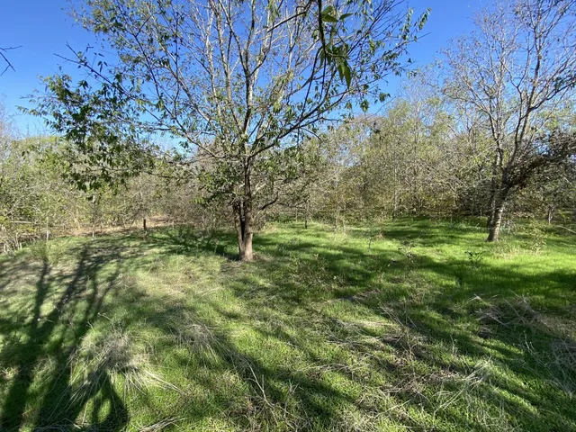 a view of outdoor space with trees all around