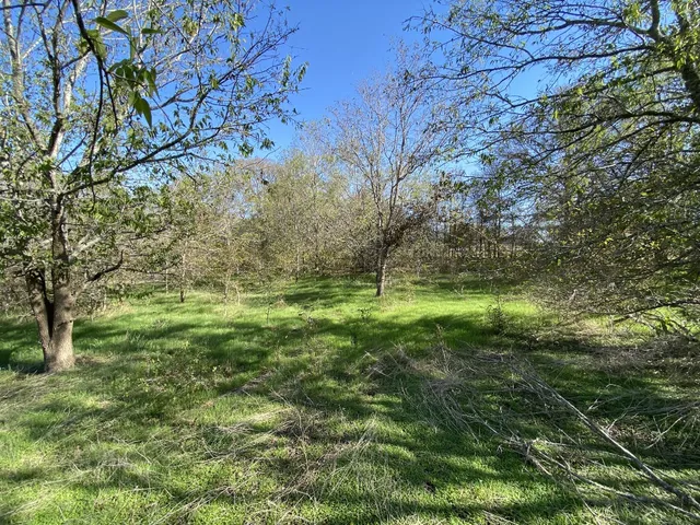 a view of outdoor space with a yard