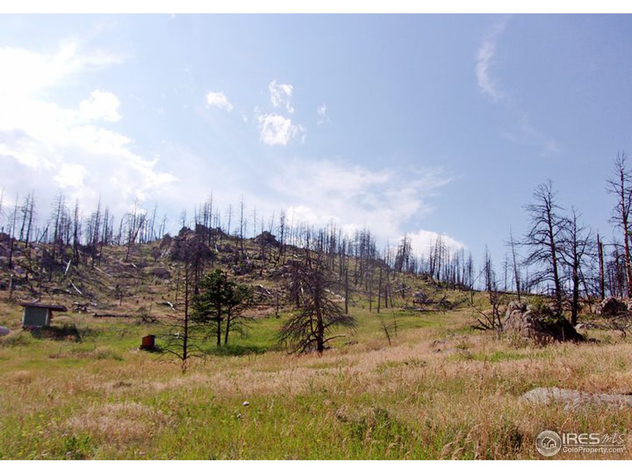 2151 Rist Creek Road Bellvue, CO 80512 - Photo 1 of 20 Lot view