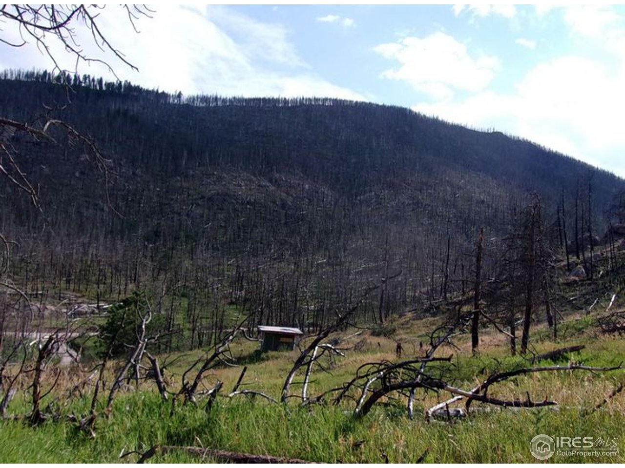 2151 Rist Creek Road Bellvue, CO 80512 - Photo 15 of 20 Lot view