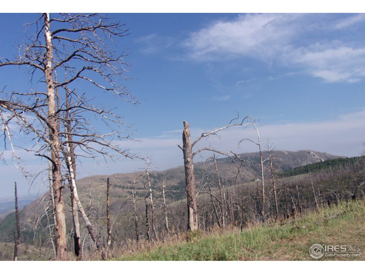 2151 Rist Creek Road Bellvue, CO 80512 - Photo 17 of 20 Lot view