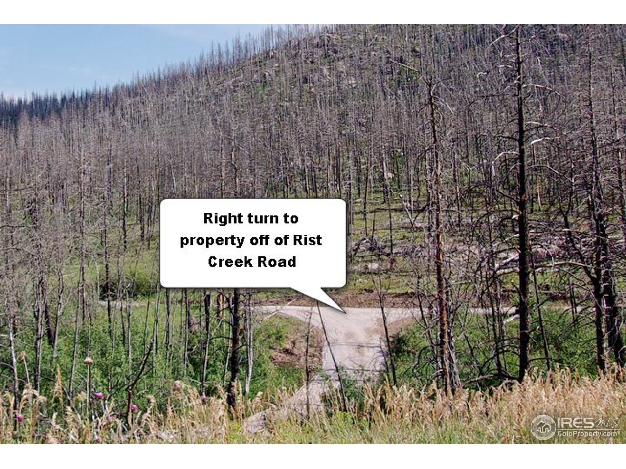 2151 Rist Creek Road Bellvue, CO 80512 - Photo 3 of 20 Road to property