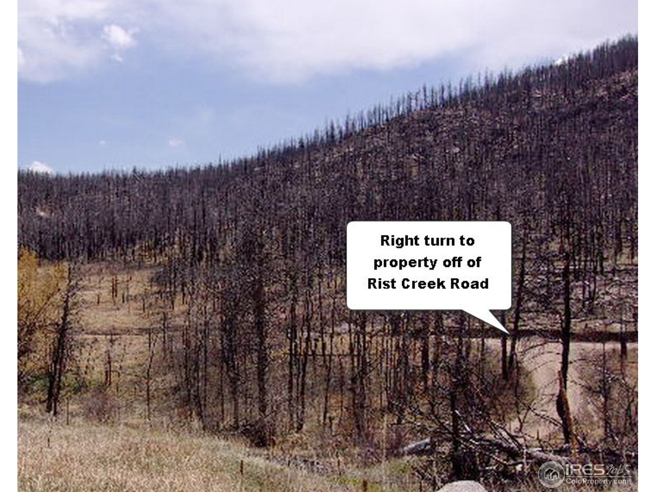 2151 Rist Creek Road Bellvue, CO 80512 - Photo 5 of 20 Road to property