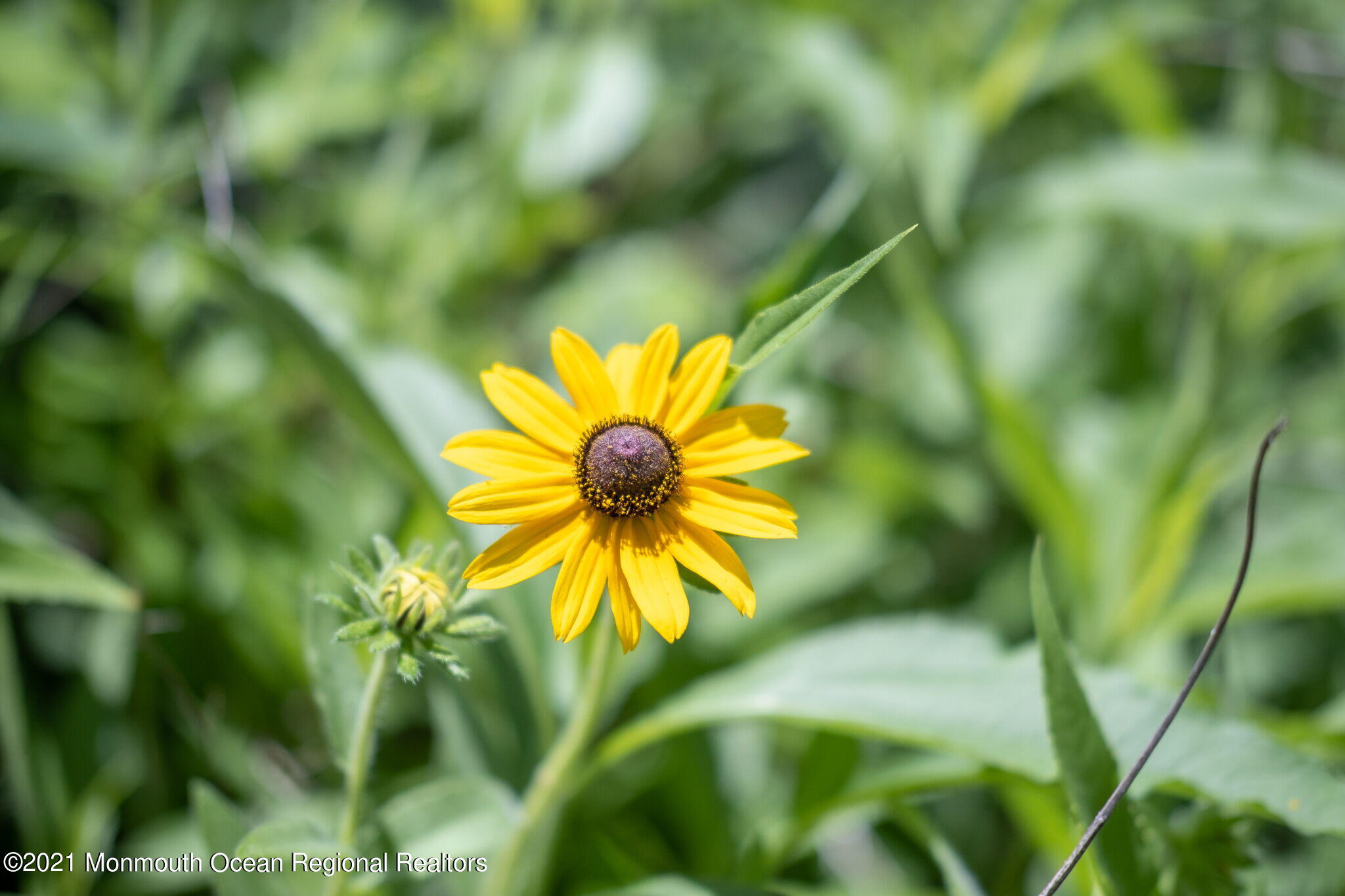 245 Crows Nest Road Manahawkin, NJ 08050 - Photo 48 of 79 011-original-photo