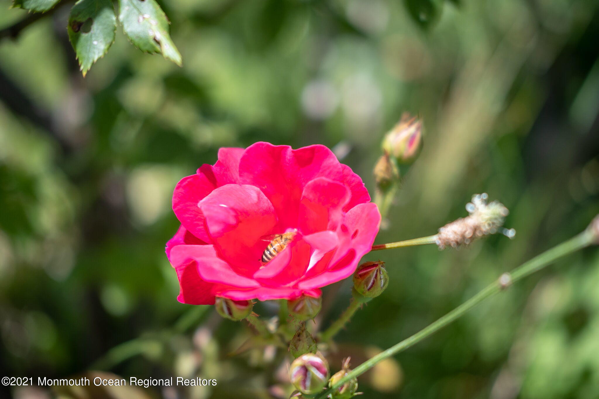 245 Crows Nest Road Manahawkin, NJ 08050 - Photo 49 of 79 004-original-photo