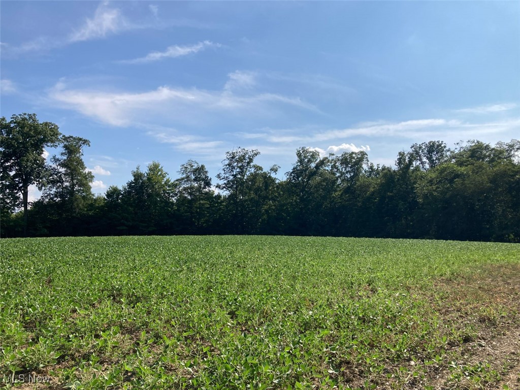225 St Route Diamond, OH 44412 - Photo 15 of 21 View of yard featuring a view of countryside and agricultural plots