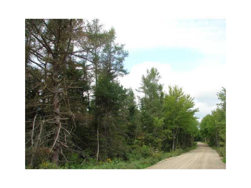 0 Canal Road Machias, ME 04654 - Photo 3 of 4 Land.