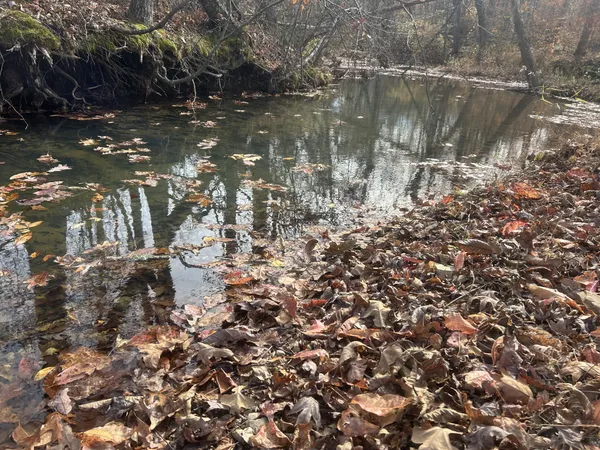 $215,000 | 0 Sulphur Creek Road, Big Sandy, TN 38221