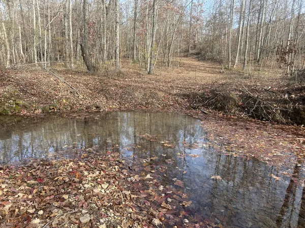 $215,000 | 0 Sulphur Creek Road, Big Sandy, TN 38221