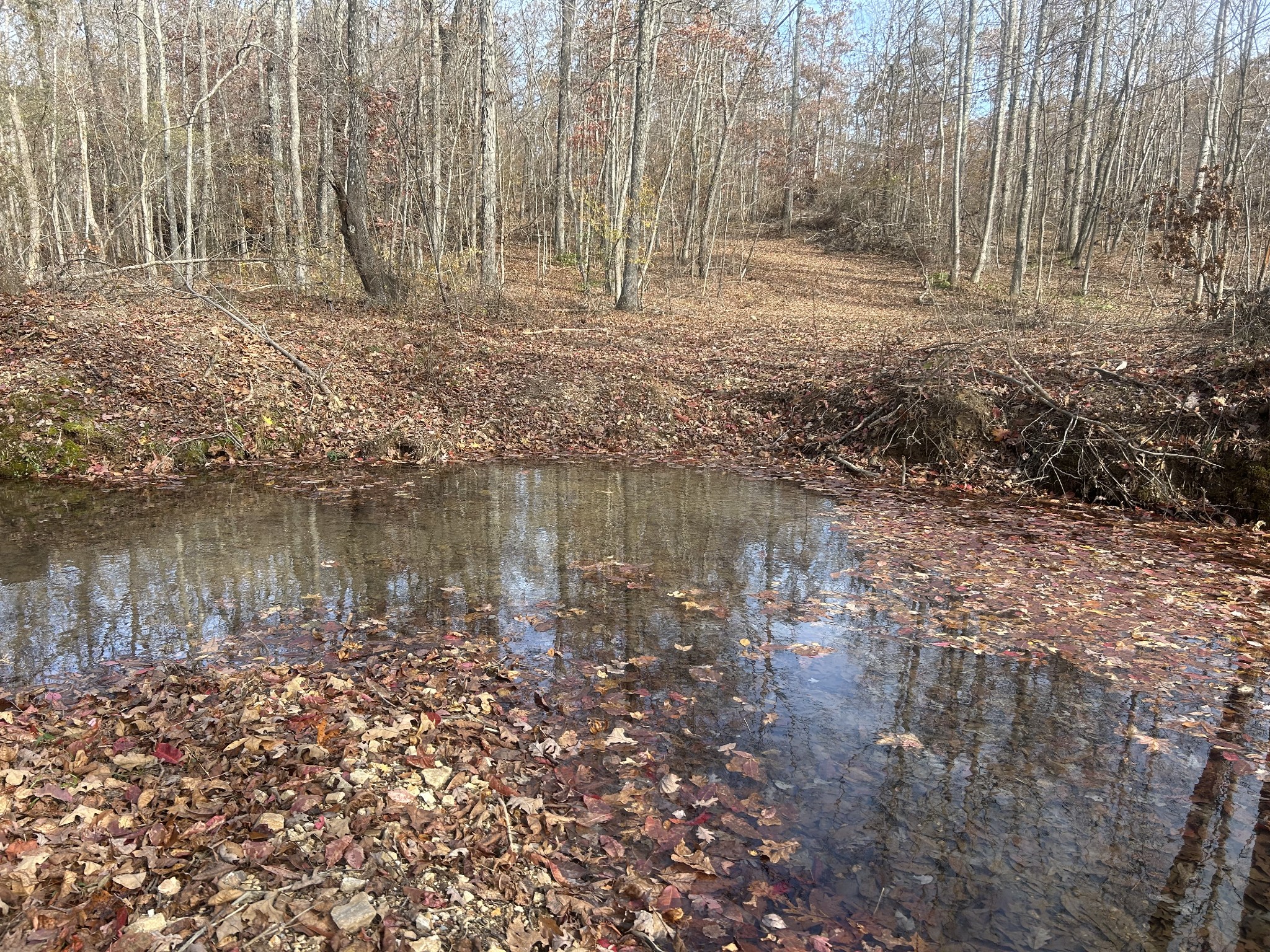 0 Sulphur Creek Road Big Sandy, TN 38221 - Photo 12 of 16