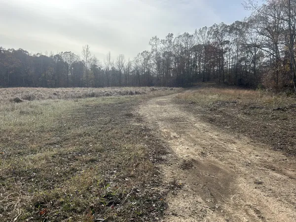 $215,000 | 0 Sulphur Creek Road, Big Sandy, TN 38221