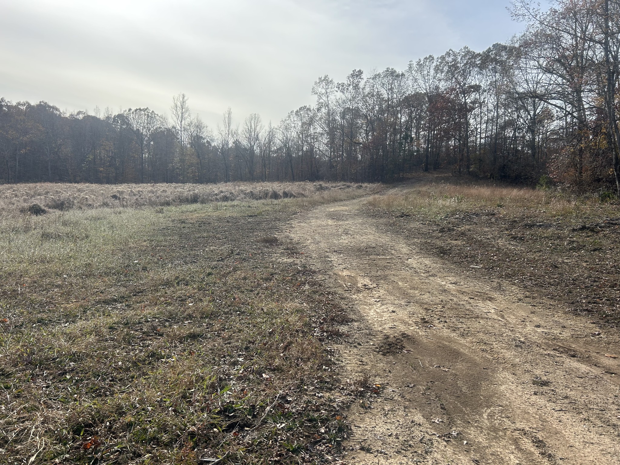 0 Sulphur Creek Road Big Sandy, TN 38221 - Photo 13 of 16