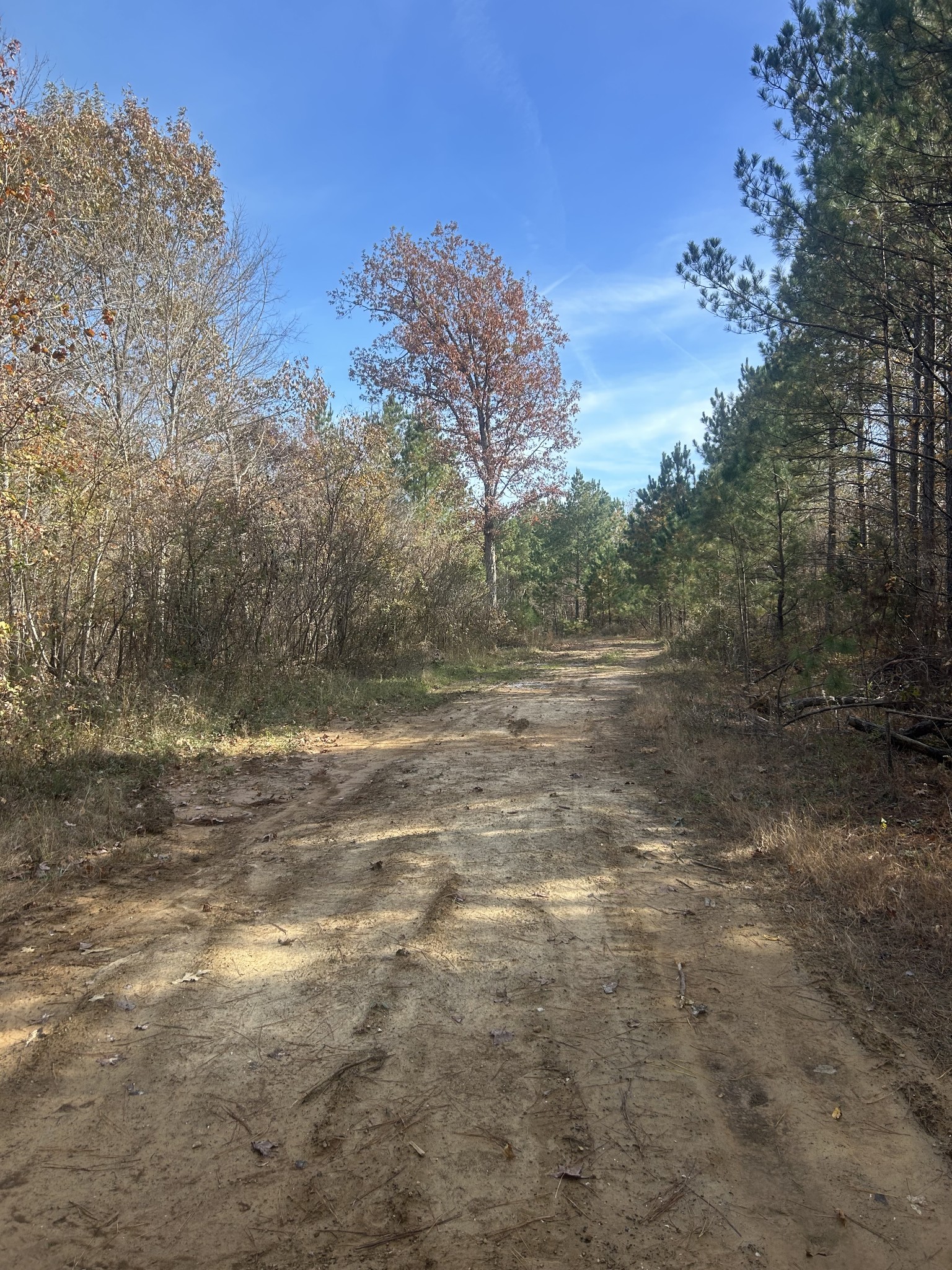 0 Sulphur Creek Road Big Sandy, TN 38221 - Photo 16 of 16