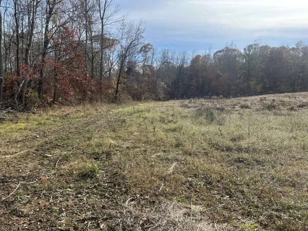 $215,000 | 0 Sulphur Creek Road, Big Sandy, TN 38221